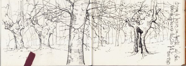 Осень Графика рисунок Eskiz