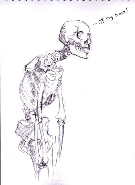 Рисунки для срисовки скелет