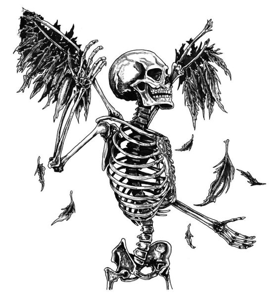 Скелет с крыльями