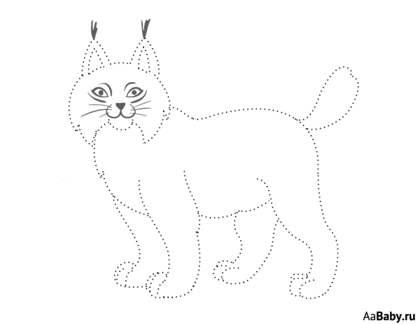 Обводилки Рысь