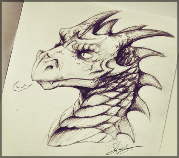 Дракон черной ручкой