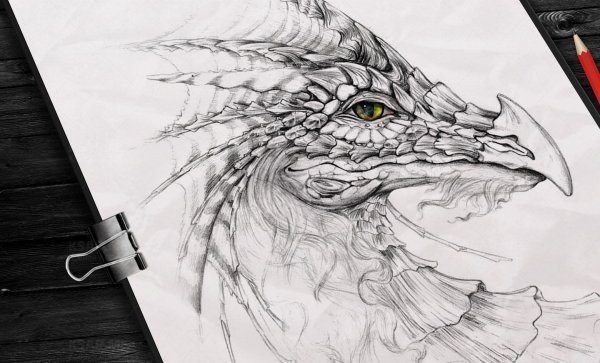 Рисунки драконов