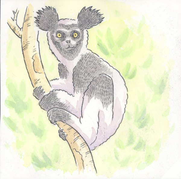 Мифические лемуры