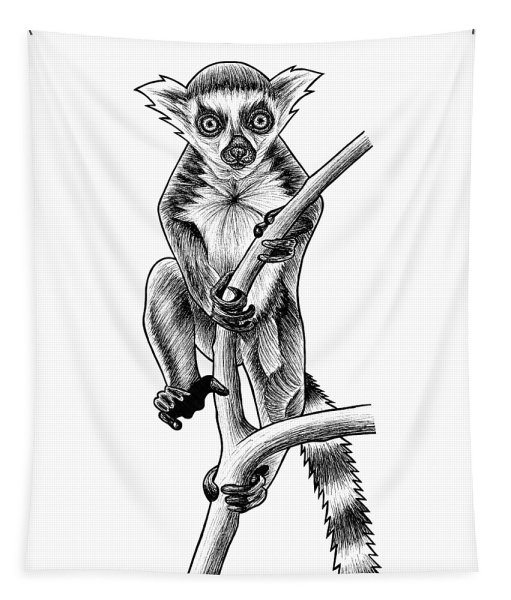 Лемур тату скетч