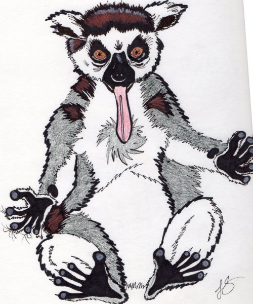 Лемур эскиз