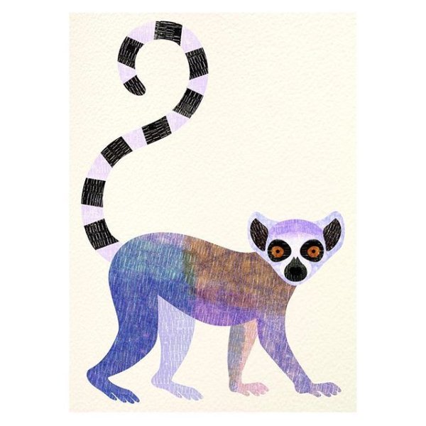 Лемур катта рисунок