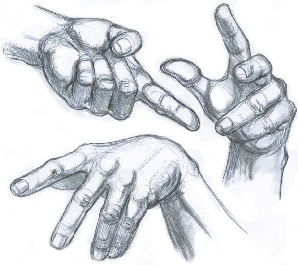 Ладонь скетч