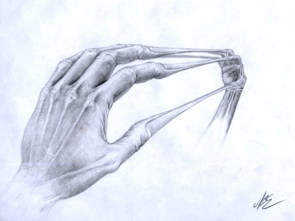 Рисунки для срисовки сложные руки