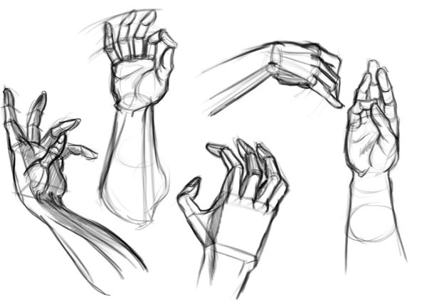 Зарисовки рук