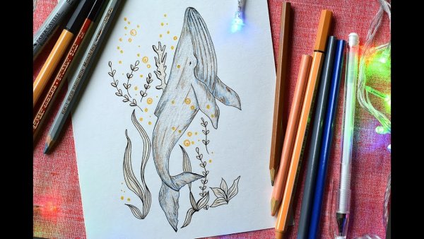 Линеры для рисования цветные