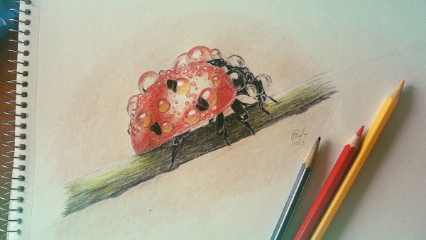 Рисование акварельными карандашами