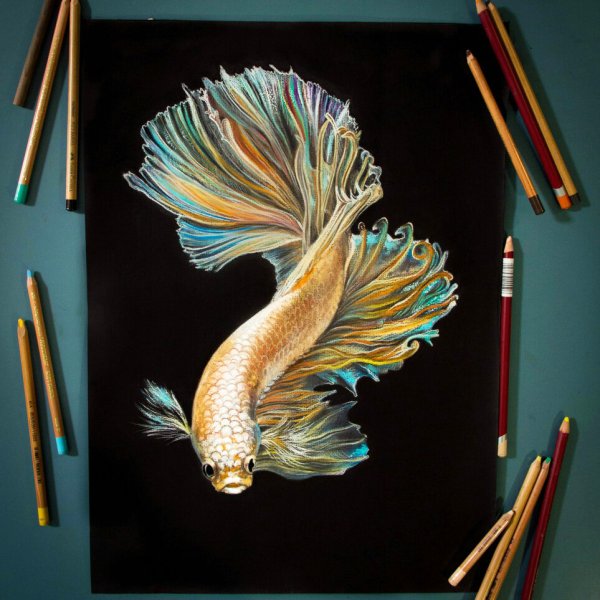 Рыбка пастелью