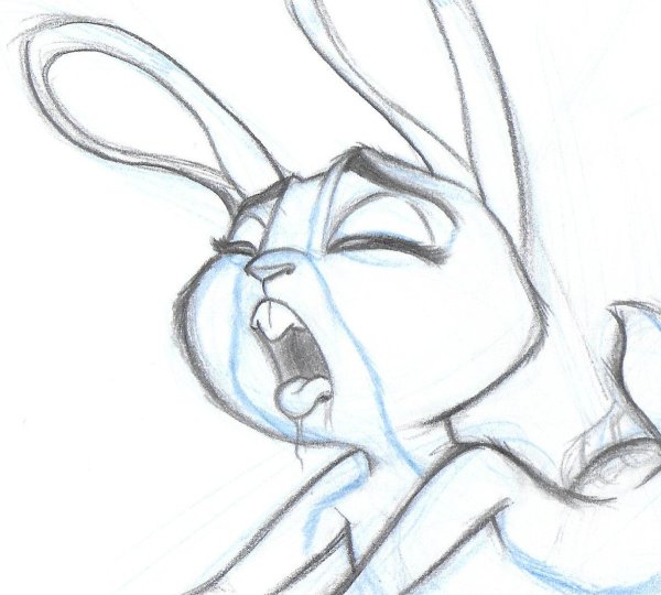 Джуди Хоппс для срисовки легко