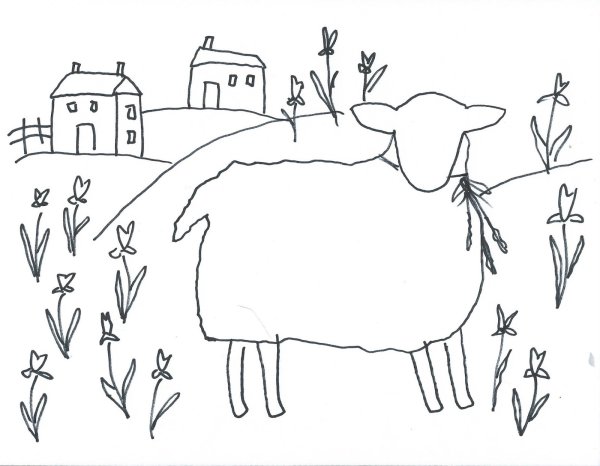 Овечка линией