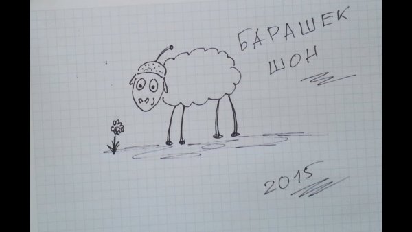 Барашек рисунок