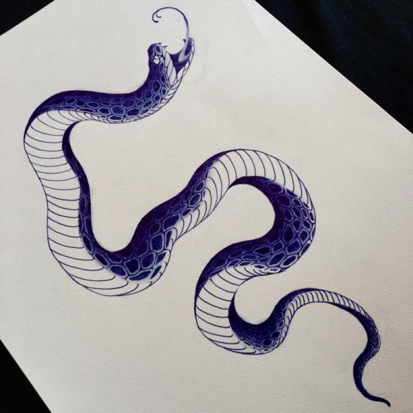Змея с ручками