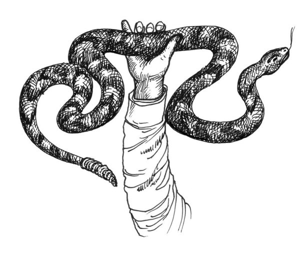 Змея нарисованная ручкой