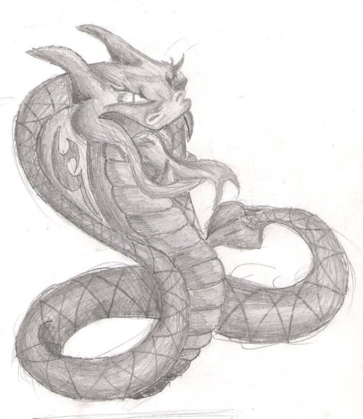Эскиз змеи карандашом