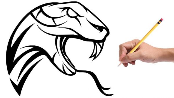 Рисунок змеи ручкой тату