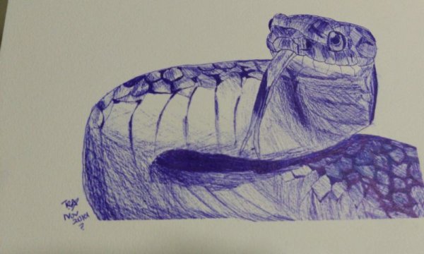 Рисунок змеи ручкой