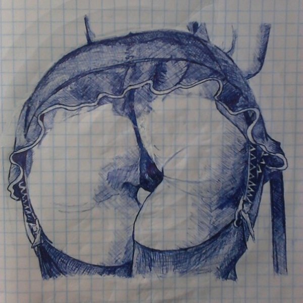 Попа рисунок ручкой