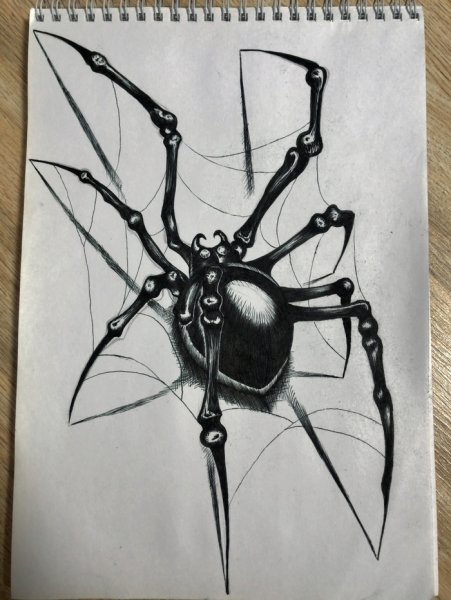 Паук в графике