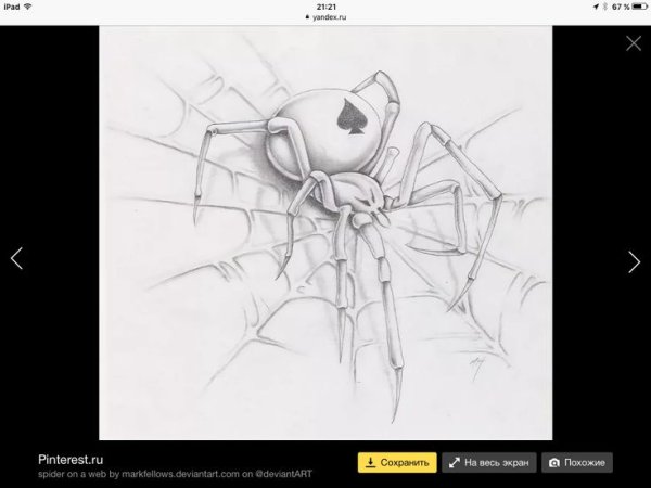 Паук карандашом