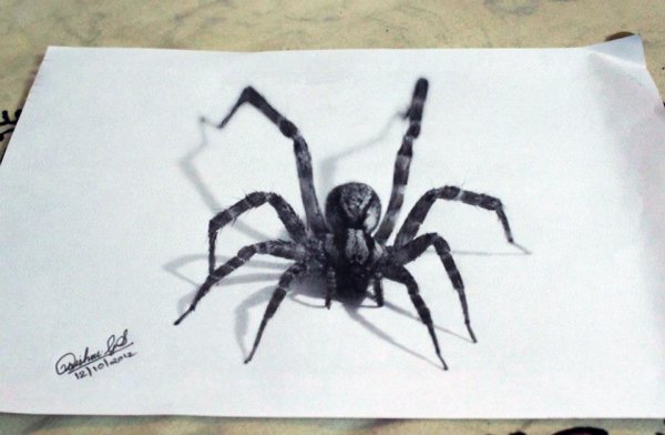 Паук черной ручкой