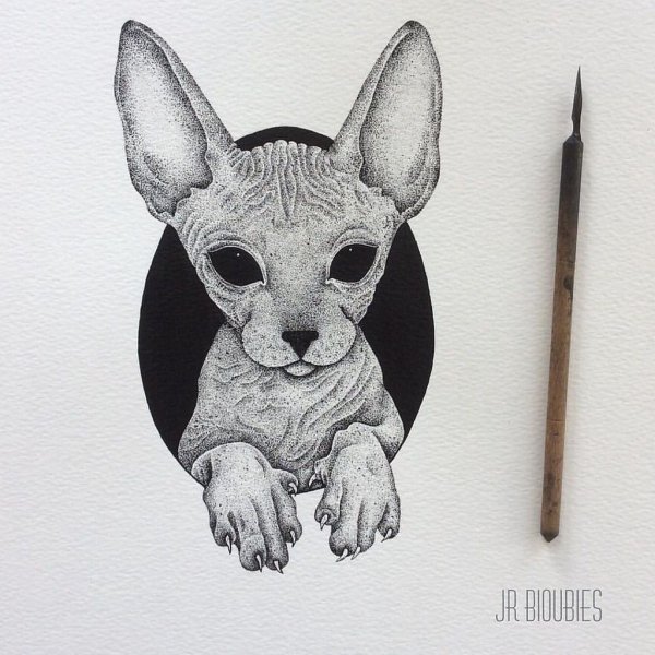 Сфинкс кошка тату эскиз