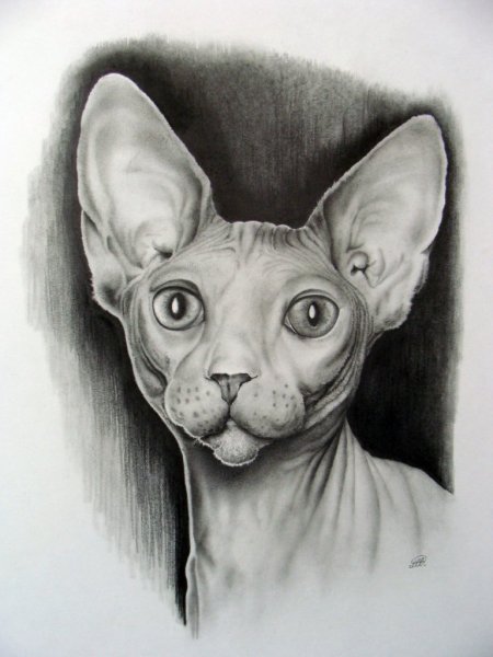 Сфинкс карандашом