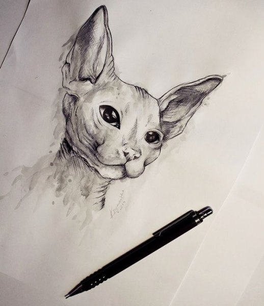 Эскиз тату сфинкс кот