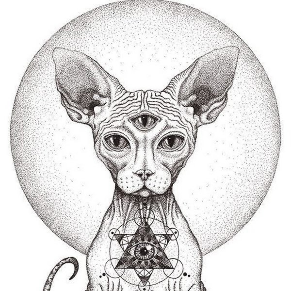 Сфинкс тату на черном фоне