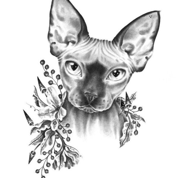 Тату сфинкс эскиз