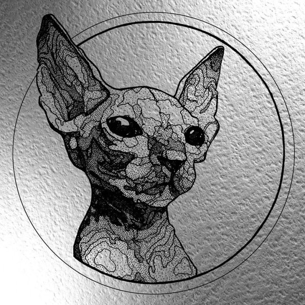 Инопланетный кот эскиз