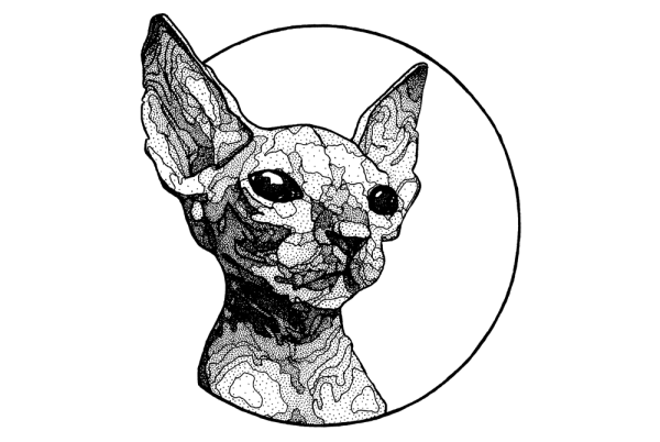 Сфинкс эскиз