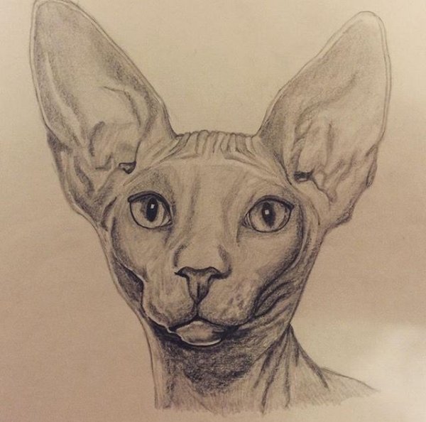 Сфинкс карандашом