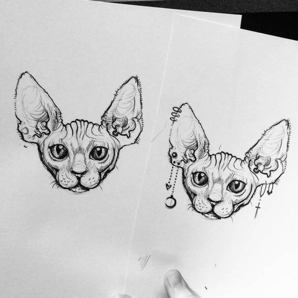 Эскиз тату сфинкс кот