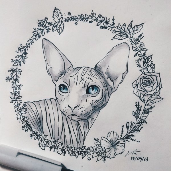 Эскиз тату сфинкс кот