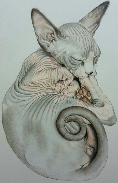 Сфинкс зарисовка