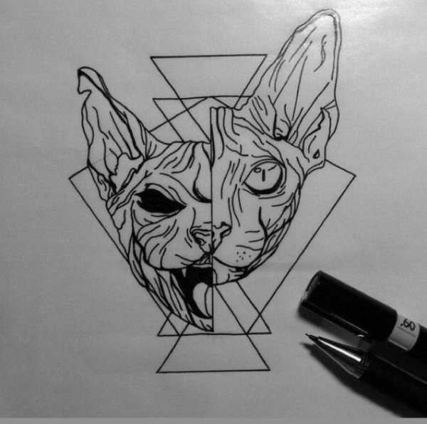 Тату сфинкс кошка