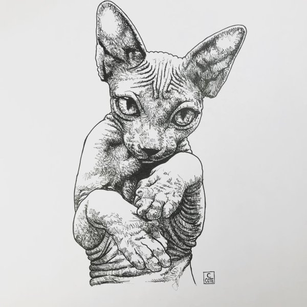 Тату сфинкс лайнворк