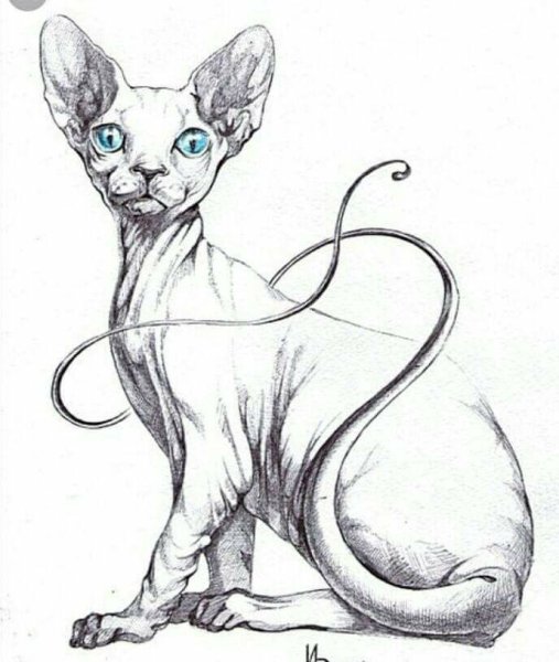 Сфинкс карандашом