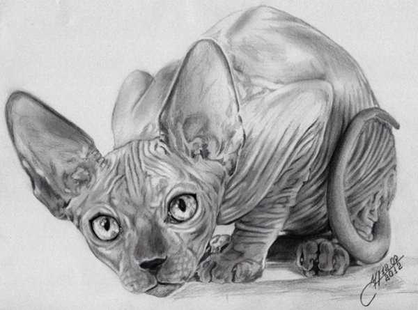 Сфинкс карандашом