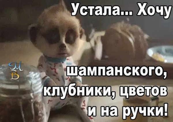 Устала хочу шампанского клубники цветов и на ручки