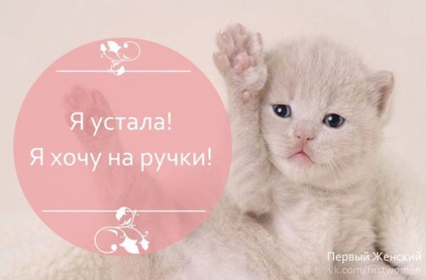 Я хочу на ручки