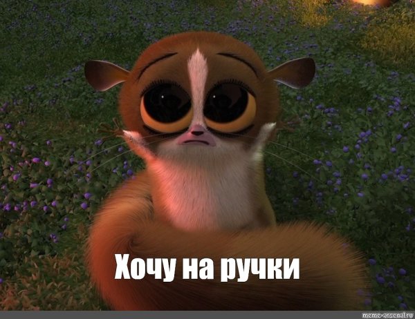 Лемур из Мадагаскара Морт