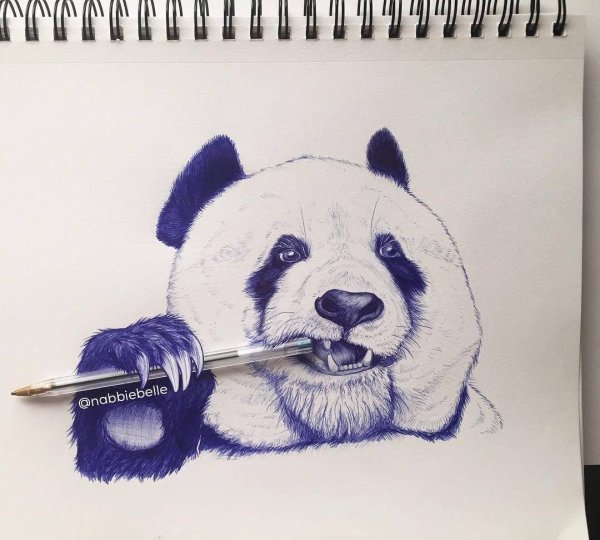 Панда рисунок ручкой