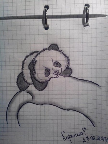 Легкие рисунки ручкой в тетради