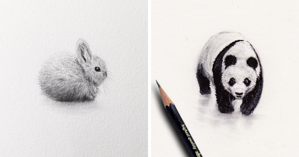 Рисунки ручкой животные
