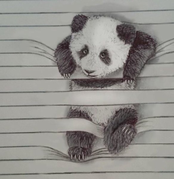 Панда рисунок карандашом